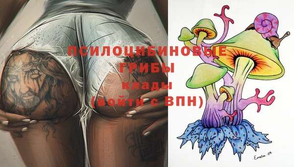 МДПВ Осинники