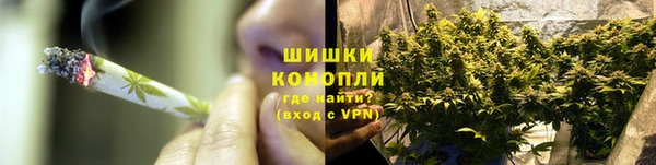 шишки Осташков