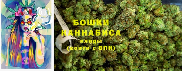 МДПВ Осинники