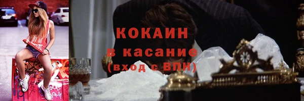 шишки Осташков
