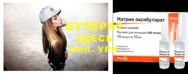 шишки Осташков