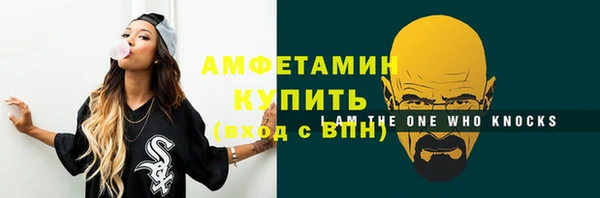 шишки Осташков