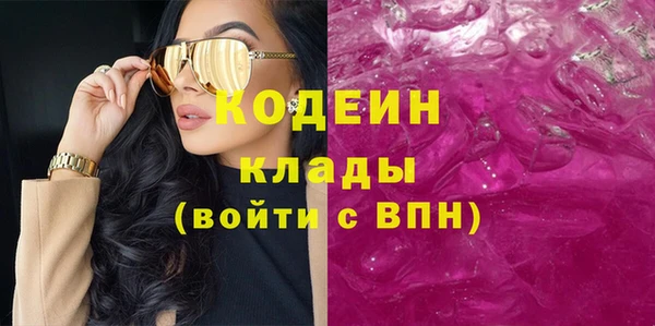 шишки Осташков
