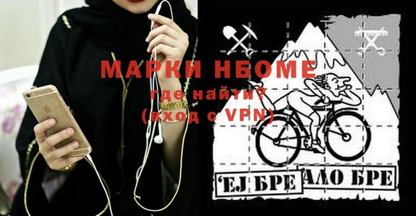 шишки Осташков