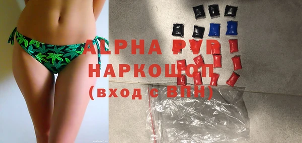 шишки Осташков