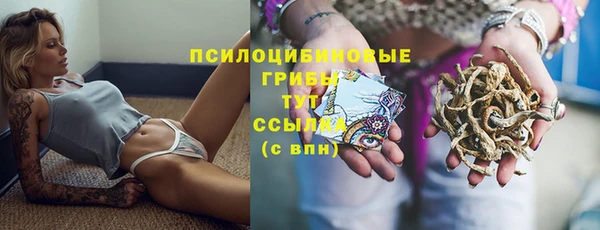 шишки Осташков